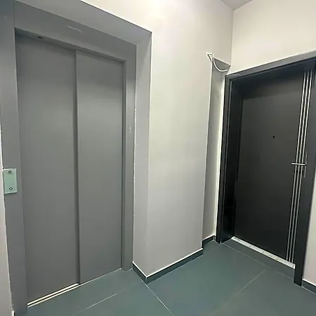 Visaj Nova * Timişoara
