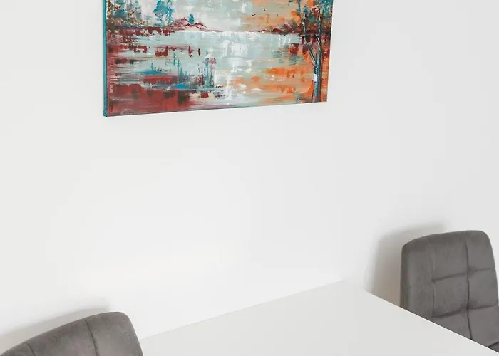 Visaj Nova Тімішоара